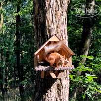 фото из отзыва ID 2225042