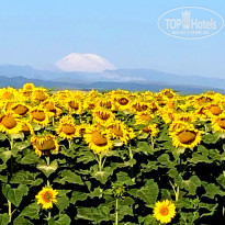 фото из отзыва ID 2225042