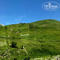 фото из отзыва ID 2225042