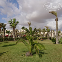 фото из отзыва ID 2225139