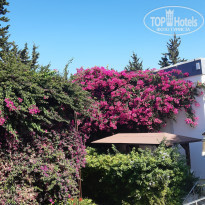 фото из отзыва ID 2225173