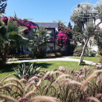 фото из отзыва ID 2225173