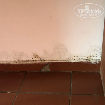 фото из отзыва ID 2225166