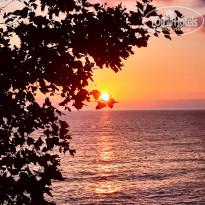 фото из отзыва ID 2225263