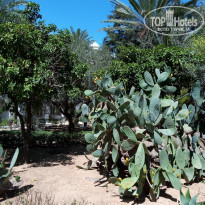 фото из отзыва ID 2225273