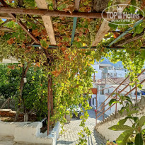 фото из отзыва ID 2225292