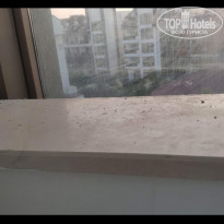 фото из отзыва ID 2225311