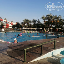 фото из отзыва ID 2225329