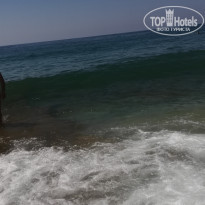 фото из отзыва ID 2225332