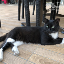 фото из отзыва ID 2225386