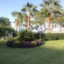 фото из отзыва ID 2225153