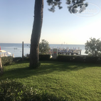 фото из отзыва ID 2225153