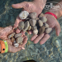 фото из отзыва ID 2225419