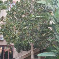 фото из отзыва ID 2225433