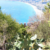 фото из отзыва ID 2225495