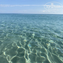 фото из отзыва ID 2225507