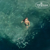 фото из отзыва ID 2225401