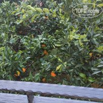 фото из отзыва ID 2225426