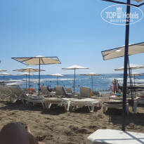 фото из отзыва ID 2225818