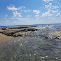 фото из отзыва ID 2225818