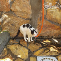 фото из отзыва ID 2225818