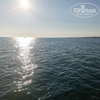 фото из отзыва ID 2225935