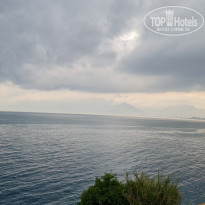 фото из отзыва ID 2226036