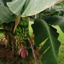 фото из отзыва ID 2226092