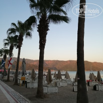 фото из отзыва ID 2225342