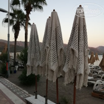 фото из отзыва ID 2225342