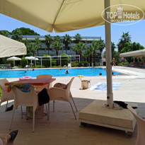 фото из отзыва ID 2226121