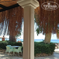 фото из отзыва ID 2226121