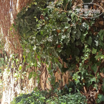 фото из отзыва ID 2226121