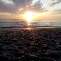 фото из отзыва ID 2226152