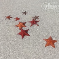 фото из отзыва ID 2226197