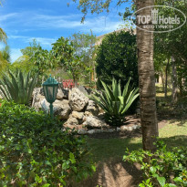 фото из отзыва ID 2226197