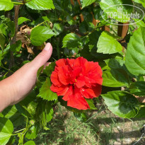 фото из отзыва ID 2226197