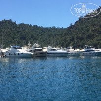 фото из отзыва ID 2226209