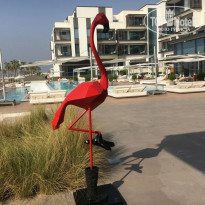 фото из отзыва ID 2226233