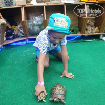 фото из отзыва ID 2226261