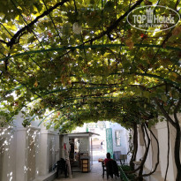 фото из отзыва ID 2226206