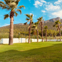 фото из отзыва ID 2226319