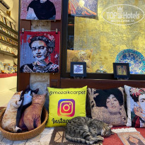 фото из отзыва ID 2226304