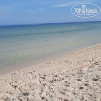 фото из отзыва ID 2224999