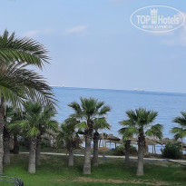 фото из отзыва ID 2224999