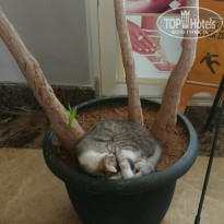 фото из отзыва ID 2226377