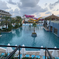 фото из отзыва ID 2226445