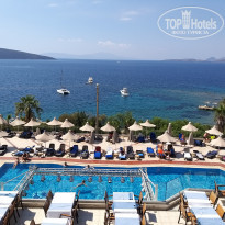 фото из отзыва ID 2226500