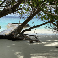 фото из отзыва ID 2226512