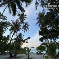 фото из отзыва ID 2226512